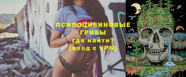 соль курить ск Белокуриха