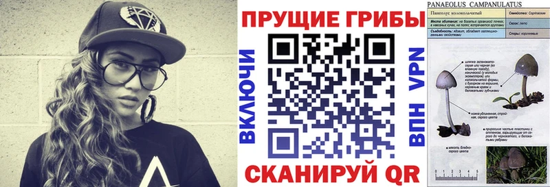 магазин  наркотиков  Короча  Галлюциногенные грибы Psilocybe 