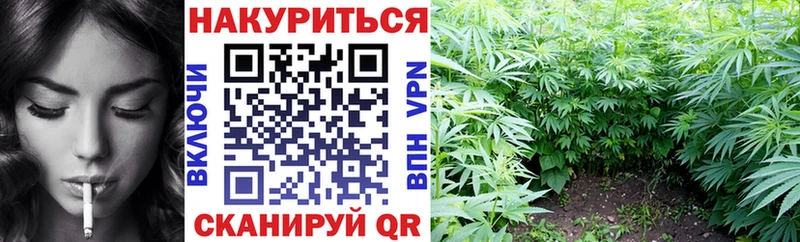 маркетплейс какой сайт  Короча  Канабис конопля  мега ссылка 